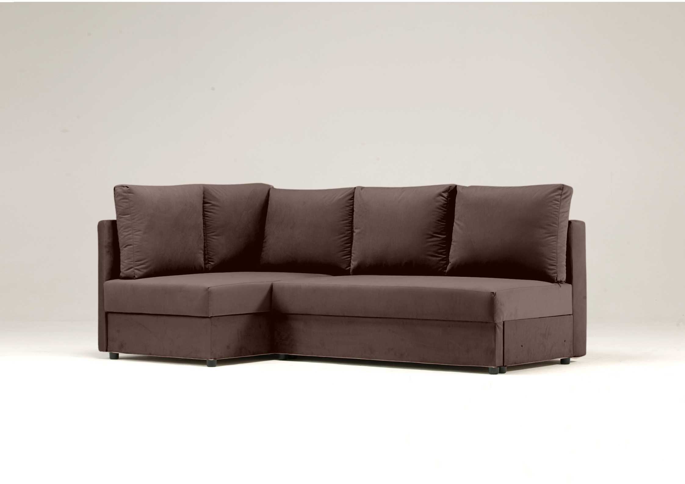 Klasyczna rogówka brązowa